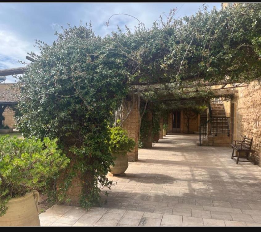 Masseria Sotto Le Stelle Provenzani Bed and Breakfast Casalabate Εξωτερικό φωτογραφία